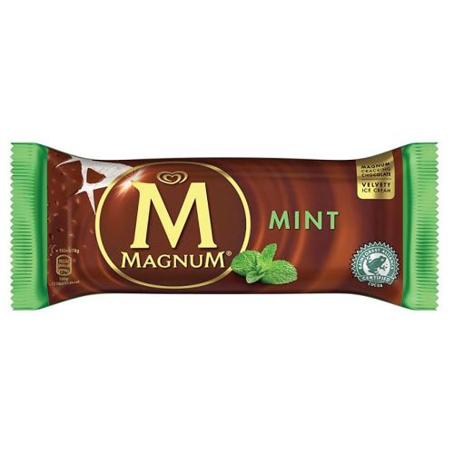 Magnum Mint 20x100ml